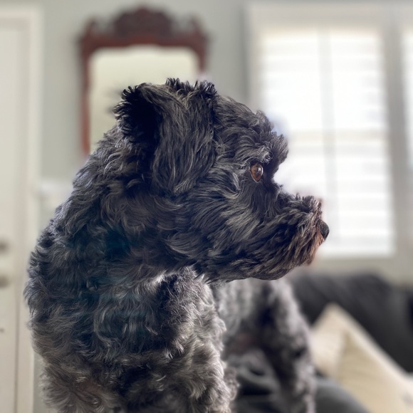 Meet your Posher, Mathew - Picture 1 of 1